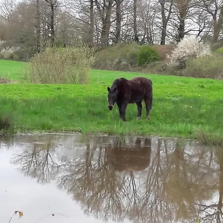 D'hôtes Du Moulin De La Chaussee