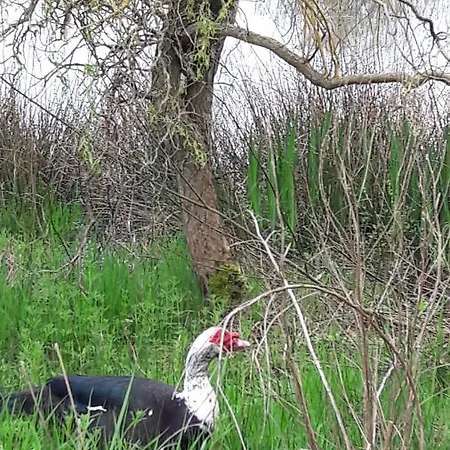 Couette-café D'hôtes Du Moulin De La Chaussee