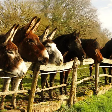 D'hôtes Du Moulin De La Chaussee 3*