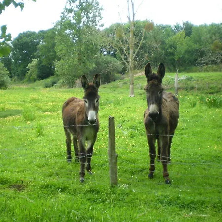 Couette-café D'hôtes Du Moulin De La Chaussee
