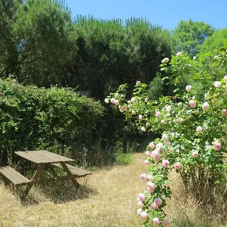 D'hôtes Du Moulin De La Chaussee
