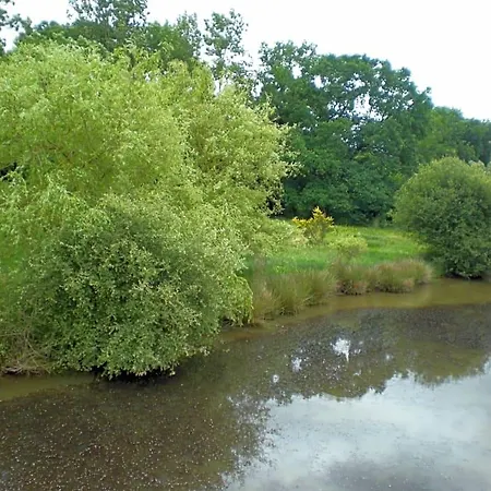 Alojamento de Acomodação e Pequeno-almoço D'hôtes Du Moulin De La Chaussee Saint-Denis-d'Orques