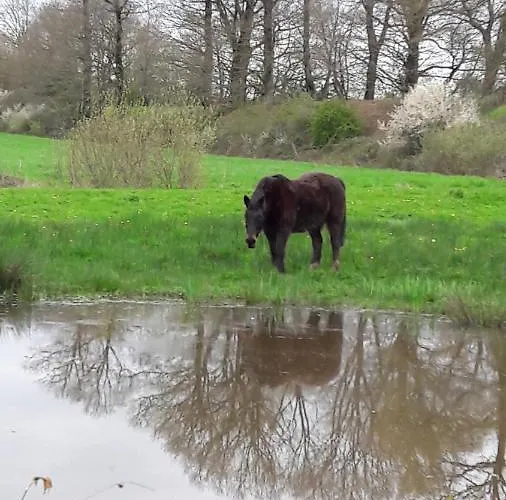 D'hôtes Du Moulin De La Chaussee