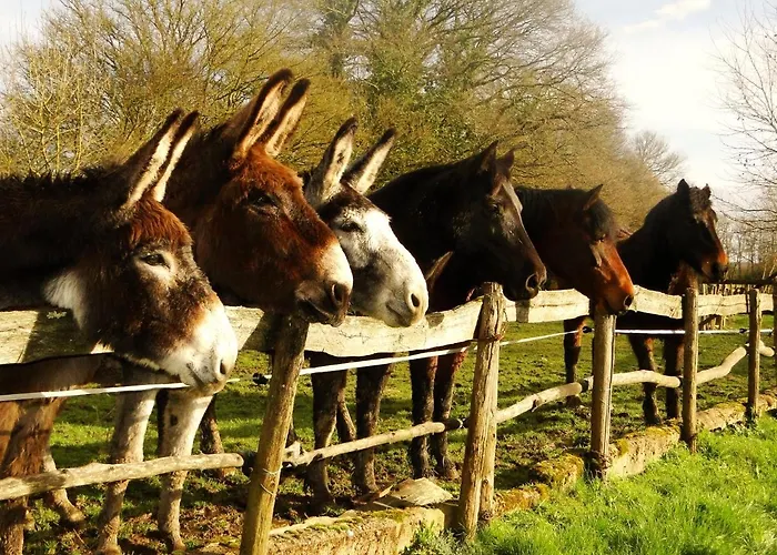 D'hôtes Du Moulin De La Chaussee 3*