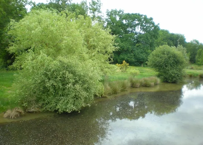 Couette-café D'hôtes Du Moulin De La Chaussee Saint-Denis-d'Orques