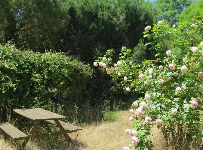 D'hôtes Du Moulin De La Chaussee